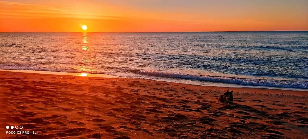 Encantador Apto En La Playa Coma-ruga 0*,  Spain